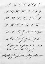 Copperplate Calligraphy Script Alphabet Zanerian Exemplar Calligraphie Spencerian Practice Writing Zaner Sheets Handwriting Cursive Fancy Fonts Letters Lettering Iampeth Penmanship sketch template