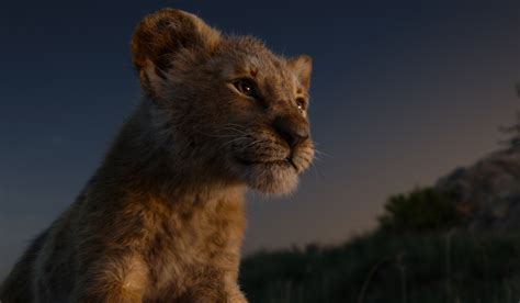lion king   review  john strange selig film news