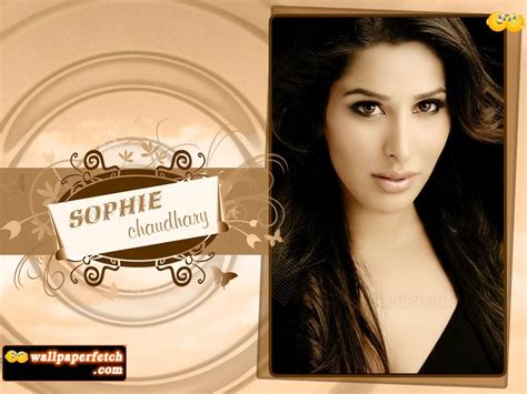 sophie chaudhary sophie chaudhary wallpapers hd wallpapers 2014