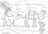 Colouring Camels Scene Camel Desert sketch template