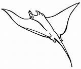 Ray Manta Coloring Pages Swimmer Great sketch template