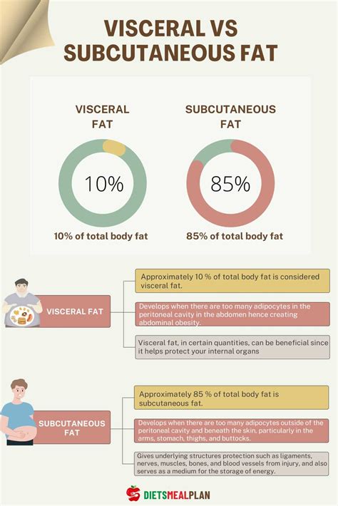 visceral  subcutaneous fat diets meal plan