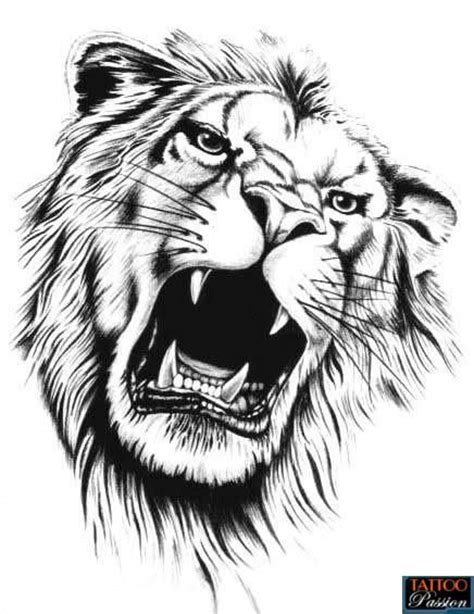 1000 Images About Tattoo Ideas On Pinterest Lion Sketch