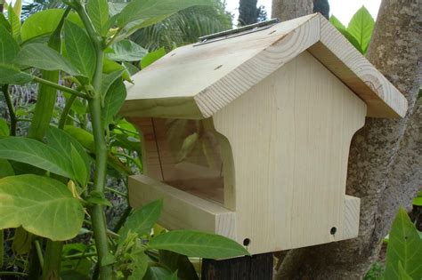 chickadee bird house design bird house designs bird house chickadee bird house