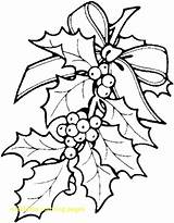 Mistletoe Drawing Easy Coloring Getdrawings sketch template
