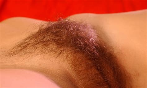 free public hairy pussy egyptian hairy pussy mature hairy puss hairy milf