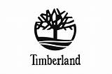 Timberland Cavendish sketch template