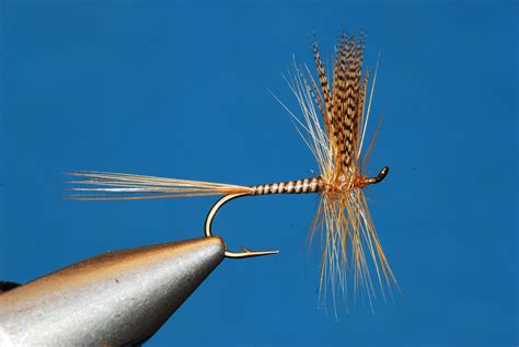 catskill style fly collection dry fly  mike valla fly fisherman
