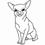 Chihuahua Netart Puppy Dogs Chihuahuas Pecs Ausmalbilder Clipartmag Coloriage Ws Colorings Hunde Coloring sketch template