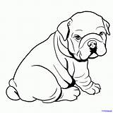 Bulldog Hond Engelse sketch template