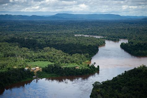 amazon rainforest  brazil   plagued  armed violence linked