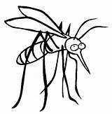 Mosquito Coloring Pages Printable Kids Insect Animals Color Print Bug Bestcoloringpagesforkids Niños Spray Information Choose Board sketch template