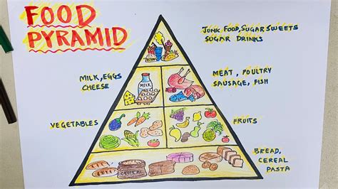 draw food pyramid  school project  easy step  step