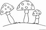 Coloring Pages Printable Mushrooms Vegetable 1000 sketch template