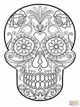 Coloring Pages Super Cool Getcolorings sketch template