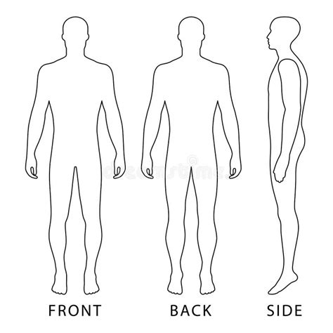 human body outline template front