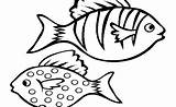 Mewarnai Lele Ikan Designlooter 430px 51kb Guffy sketch template