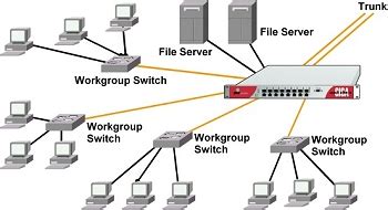 switching network multiswitching