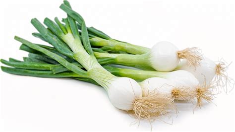 spring onions information recipes  facts