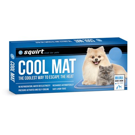 Squirt Cool Mat Bed Mini 40cm X 50cm Gel Mat Squirt Mat Cool Mat