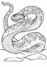 Coloring Viper Rattlesnake Pages Western Diamondback Snake Printable Getdrawings Getcolorings Color Template sketch template