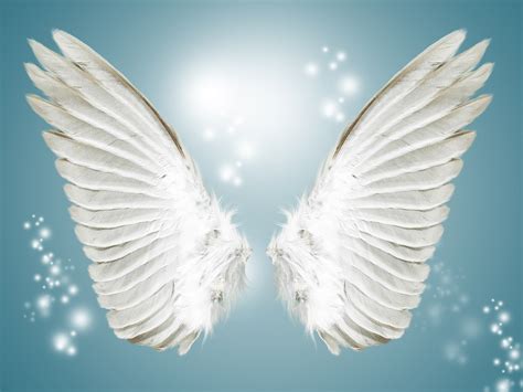 angel white wing background blue angel wings background image