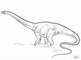 Coloring Diplodocus Pages Dino Printable Drawing sketch template