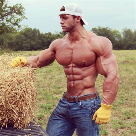Gay Muscle Morph Male Bodybuilders Hot Girl Hd Wallpaper