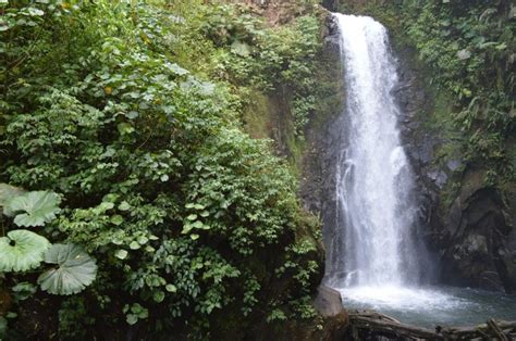 Waterfall Garden Park Costa Rica Beula Mattos