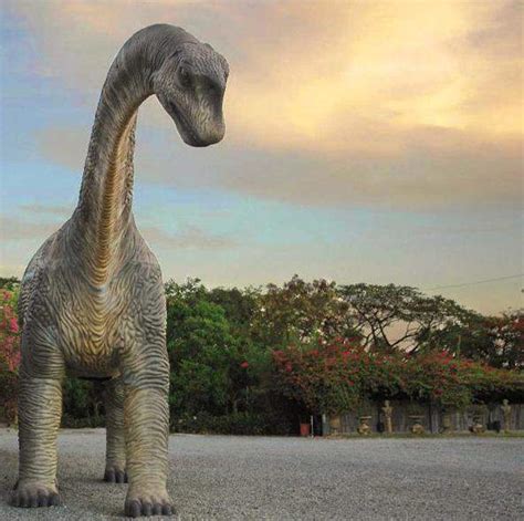 gambar gambar dinosaurus