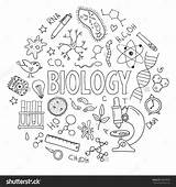 Biology Drawings Cover Deckblatt Drawing Science School Equipment Doodles Lessons Chemistry Doodle Clipart Vector Hand Drawn Set Used Lesson Classroom sketch template