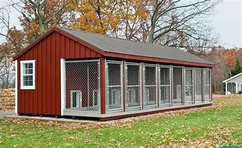 dog houses  runs horizon structures dog kennels