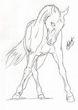 Dressage Coloring sketch template