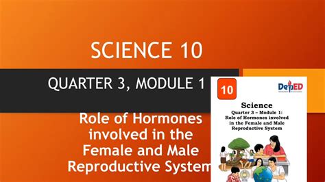 Roles Of Hormones Involved In The Reproductive System Science 10
