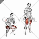 Jump Squat Previous Illustrations Gym Visual sketch template