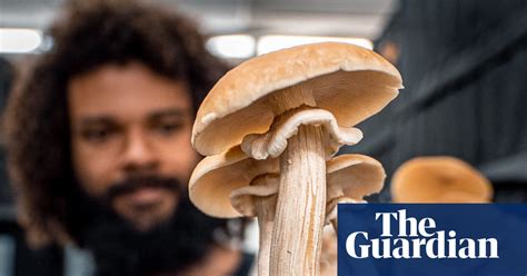 why growing mushrooms at home is everyone s new pandemic hobby life