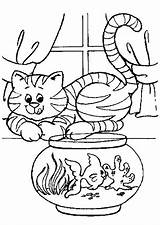 Kleurplaat Coloring Cat Colorat Chats Disegni Pisici Gatti Gatos Poesjes Poisson Animale Dibujos Funny Katten Colorare Planse Poesje Poezen Imagini sketch template