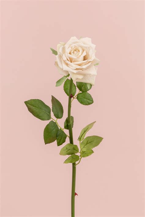 single rose ee0044 wh ee0044 sftpnk silkflora artificial flowers