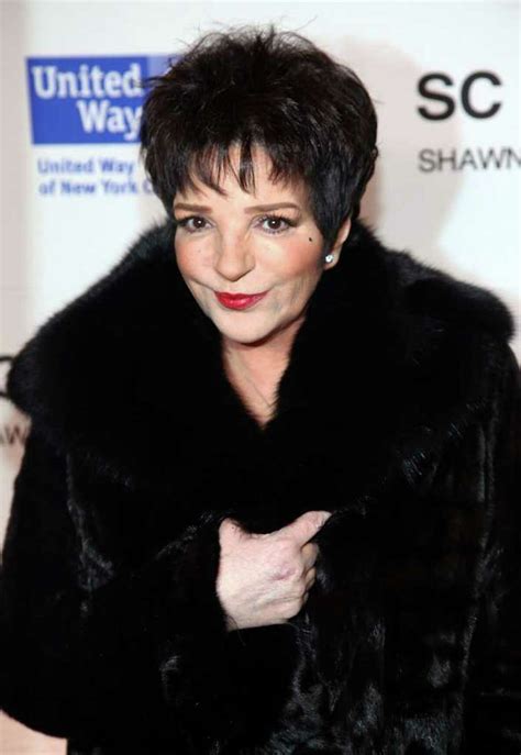 multitalented liza minnelli comes to stamford for benefit concert honor