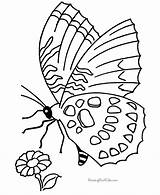 Coloring Pages Butterfly Spring Printable Sheets Color Phonics Kids Flower Objects Butterflies Scene Print Scenes Animals Simple Printing Index Fun sketch template
