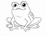 Coloring Print Frog Preschoolers Simple Pages sketch template