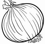 Onion Cebolla Frutas Alimentos Verduras sketch template