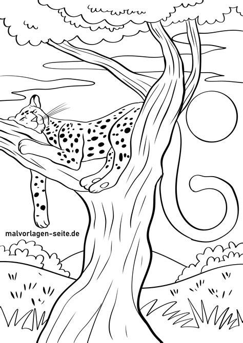 malvorlage gepard kostenlose malvorlagen