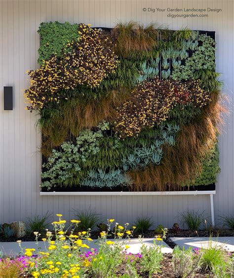 living wall  landscape remodel dig  garden landscape design