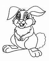 Coloring Bunny Easter Pages sketch template