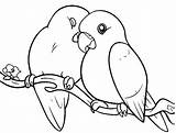 Parakeet Parakeets Bird sketch template