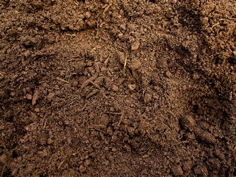 soil   sufficient