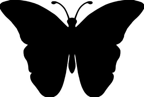 silhueta borboleta inseto grafico vetorial gratis  pixabay pixabay