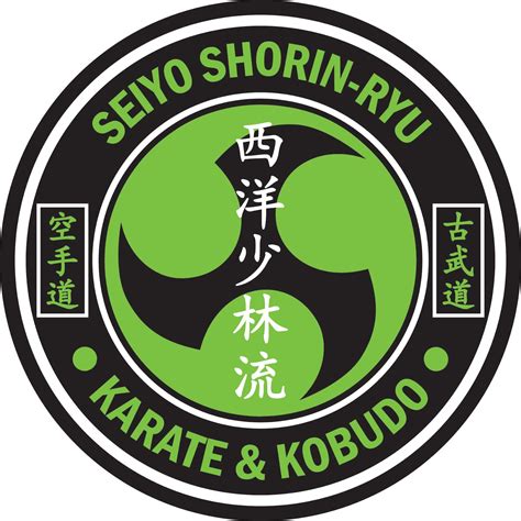 shorin ryu karate kobudo  arizona arizona karate instructor