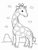 Giraffe Coloring Pages Template Baby Printable Colouring Kids Color Giraffes Animals Sheets Animal Girafe Cute Zoo Sheet Book Cartoon sketch template